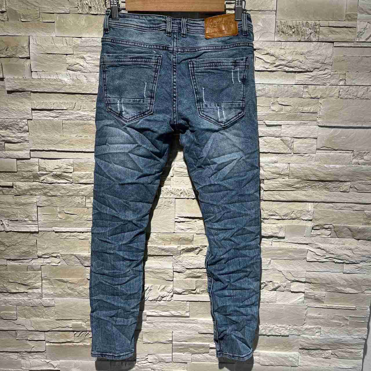 Jeans lion