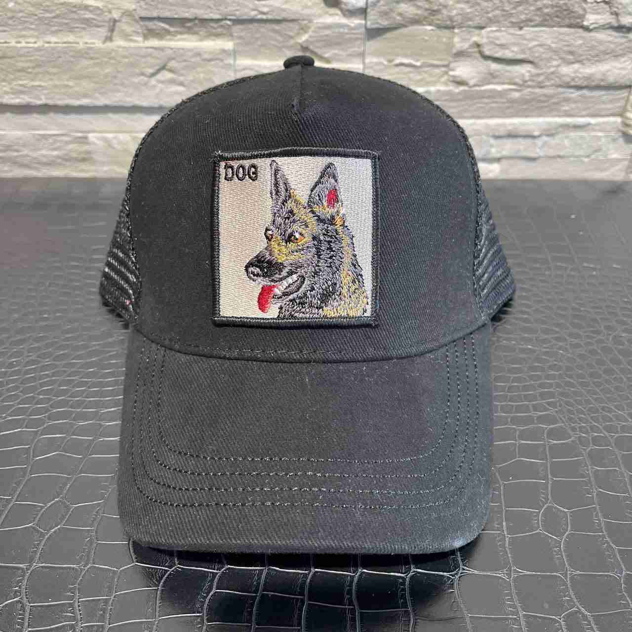Cappellino dog